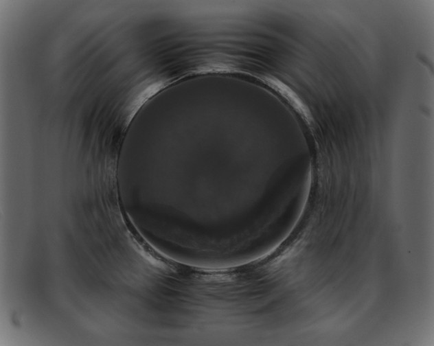 X0000093371337200710111429