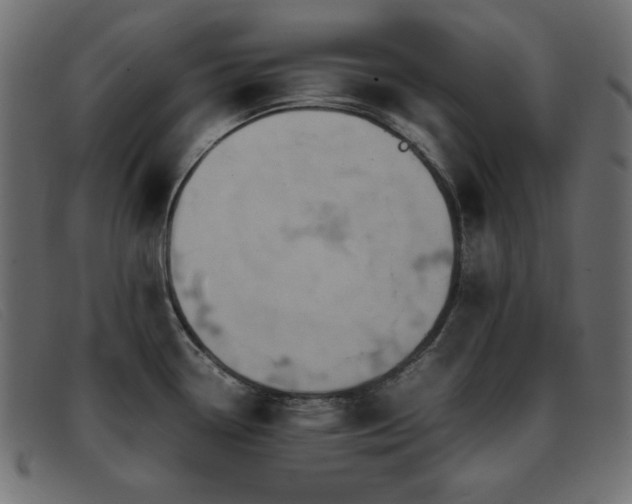 X0000093371338200710111429