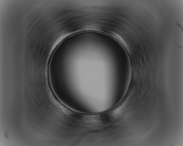 X0000093371339200710111429