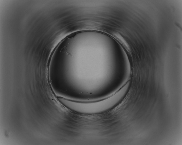 X0000093371340200710111429