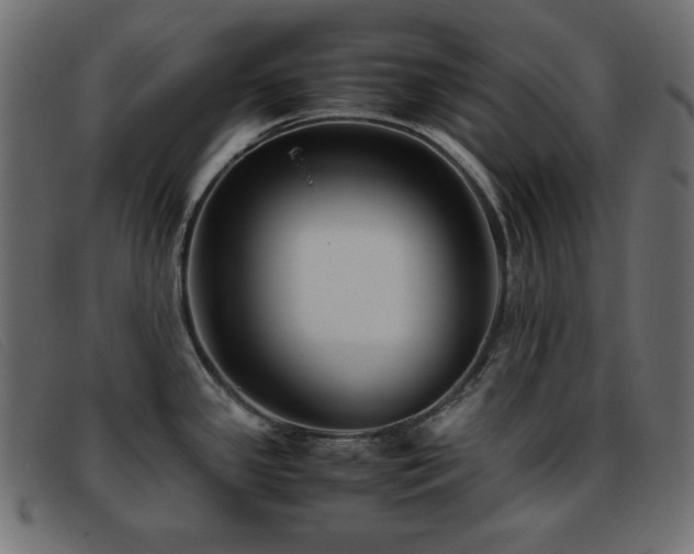 X0000093371341200710111429