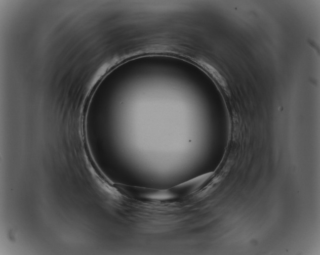 X0000093371342200710111429