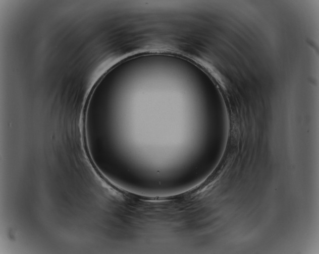 X0000093371343200710111429