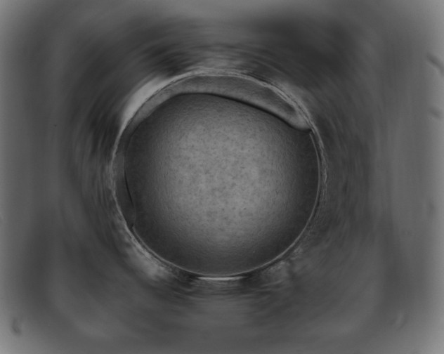 X0000093371344200710111429