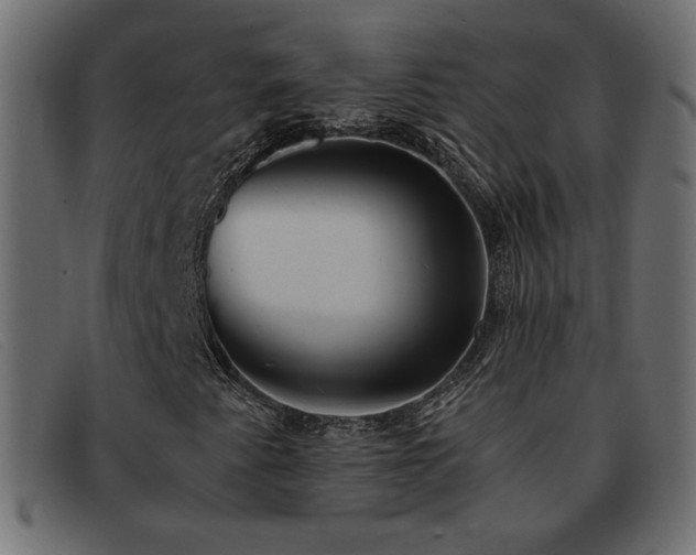 X0000093371345200710111429