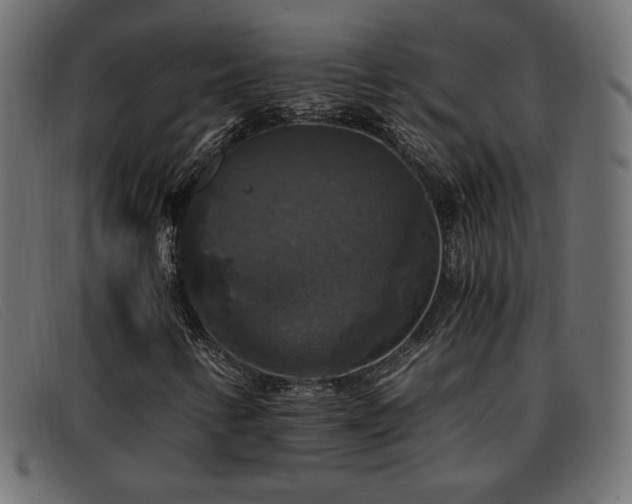 X0000093371346200710111429