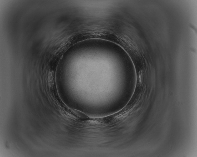 X0000093371347200710111429