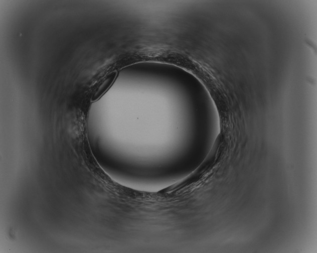 X0000093371349200710111429