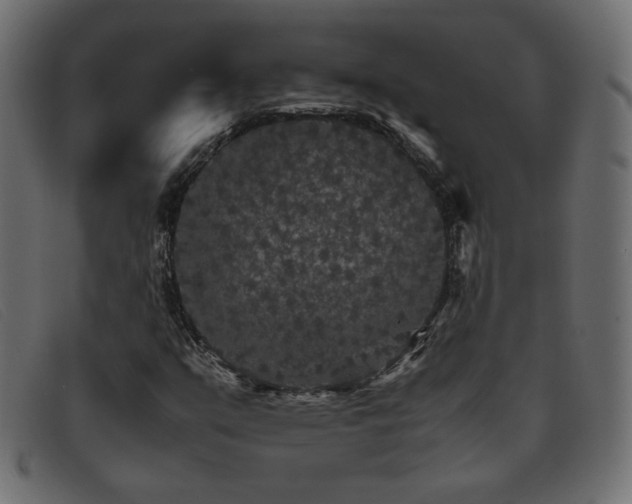X0000093371351200710111429
