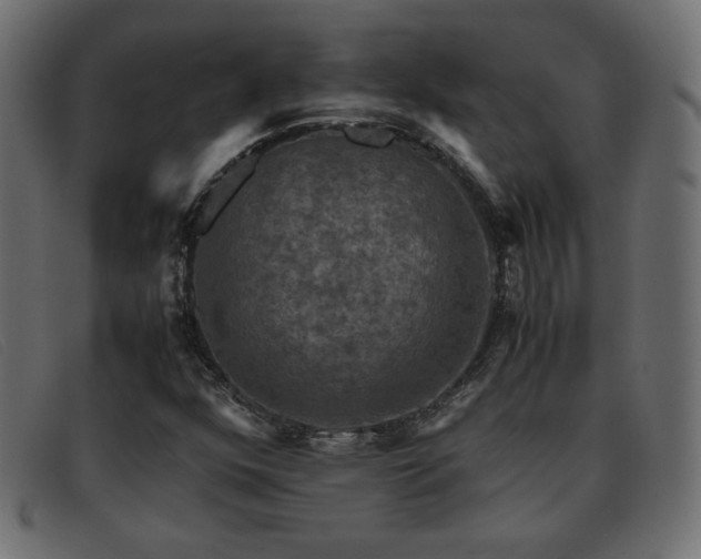 X0000093371352200710111429