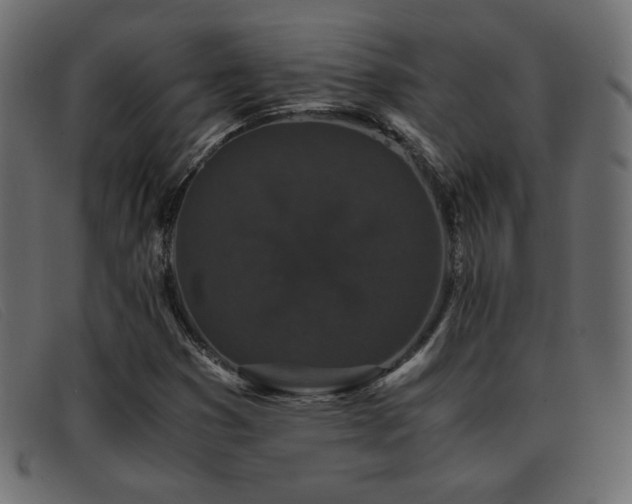 X0000093371353200710111429