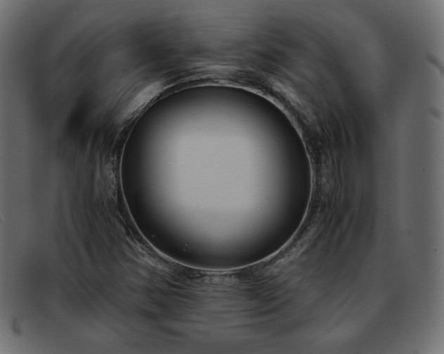 X0000093371354200710111429