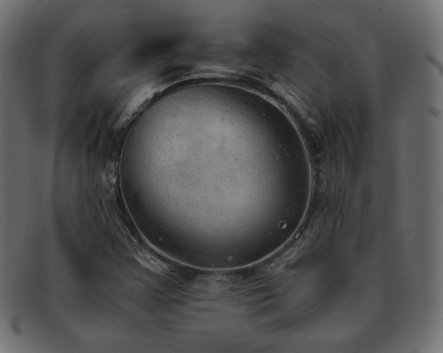 X0000093371355200710111429