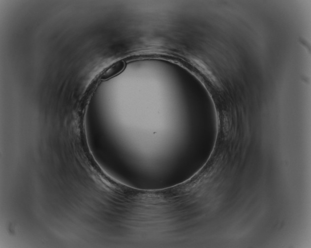 X0000093371356200710111429