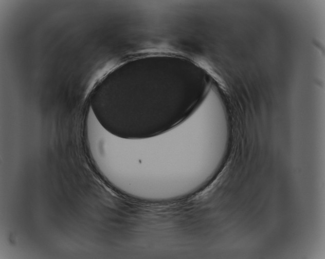 X0000093371357200710111429