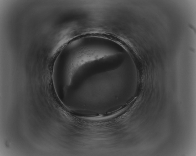 X0000093371359200710111429