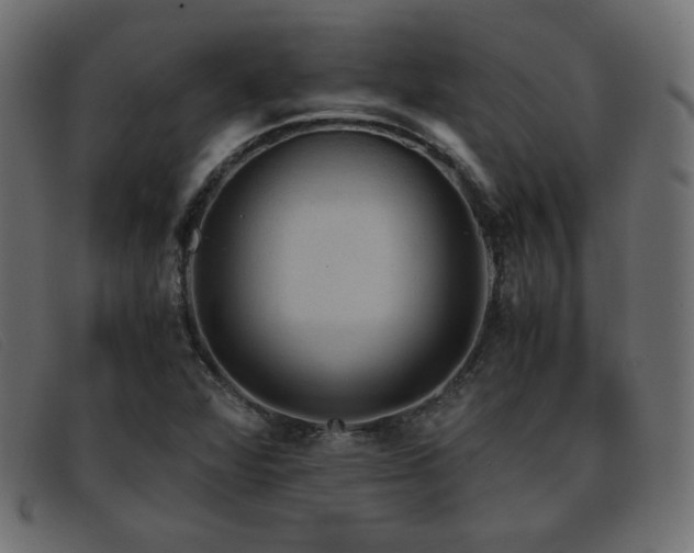 X0000093371360200710111429
