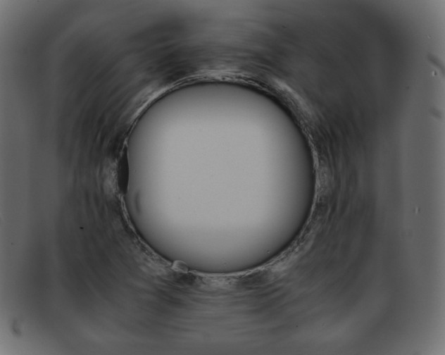 X0000093371361200710111429