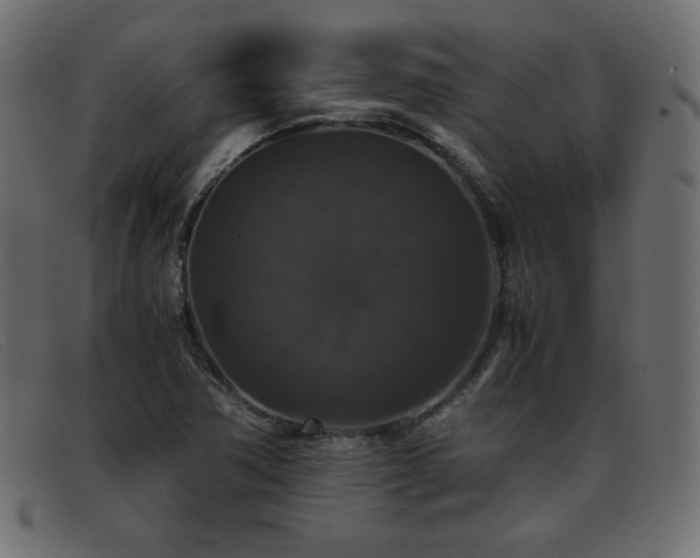 X0000093371362200710111429