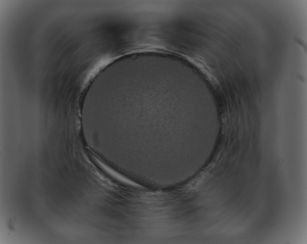 X0000093371363200710111429