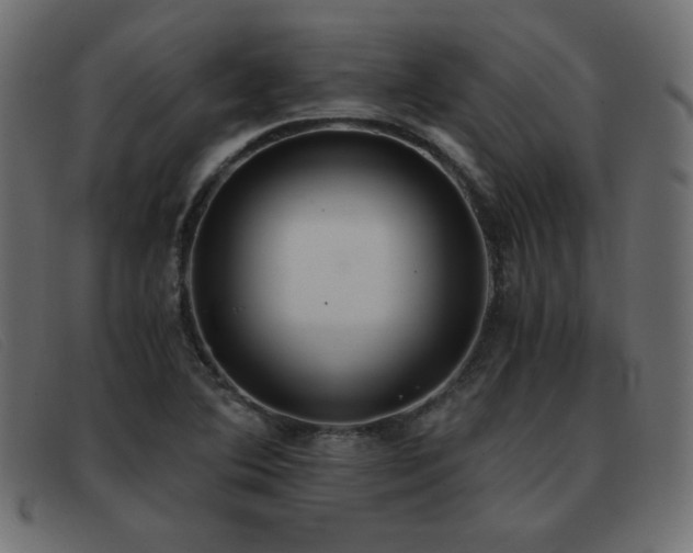 X0000093371364200710111429