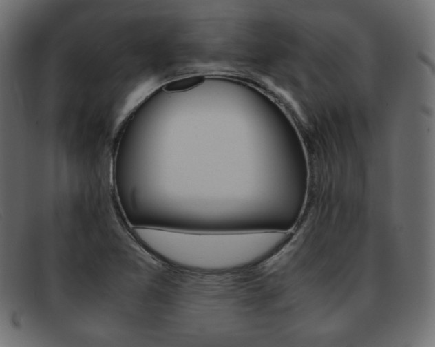 X0000093371365200710111429