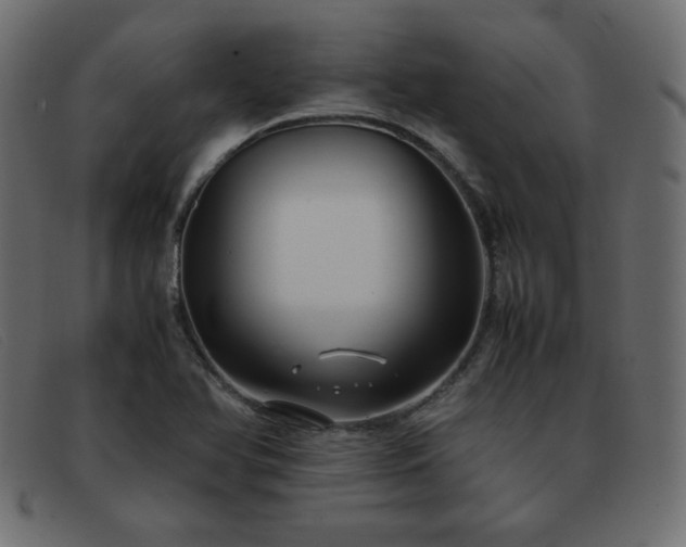X0000093371366200710111429
