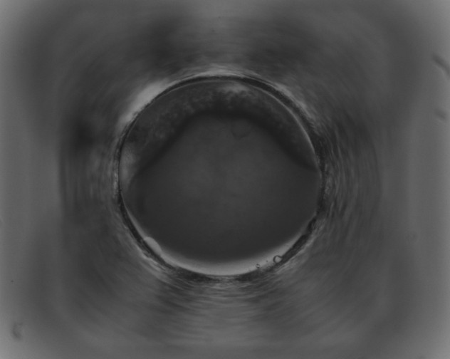X0000093371367200710111429