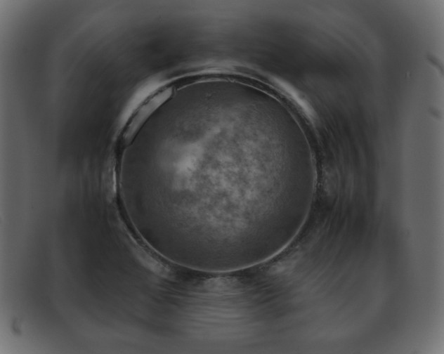 X0000093371368200710111429