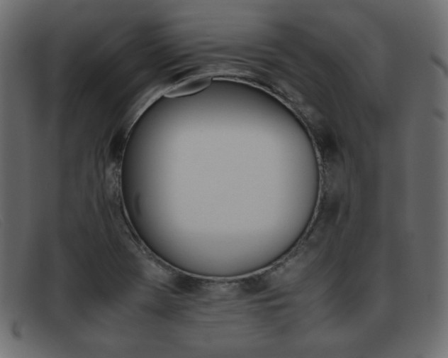 X0000093371369200710111429