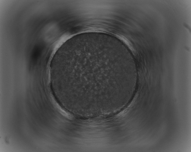 X0000093371371200710111429