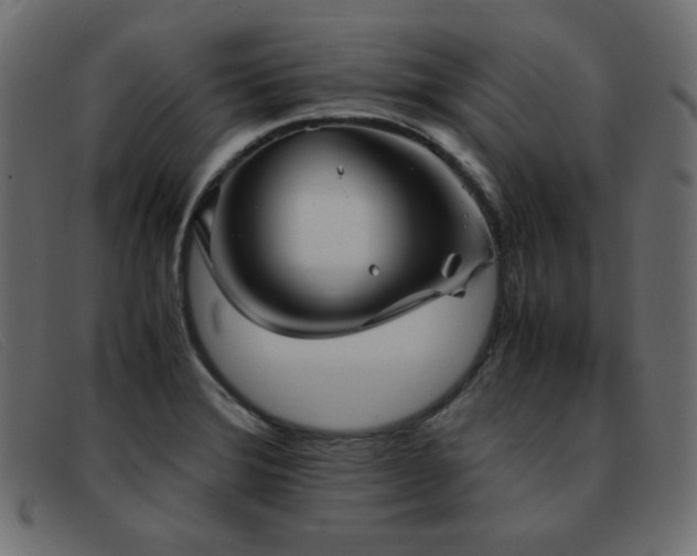 X0000093371372200710111429