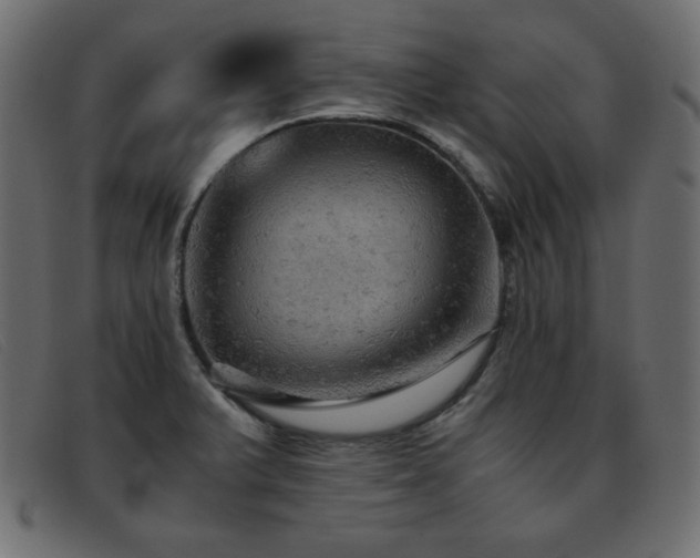 X0000093371375200710111429