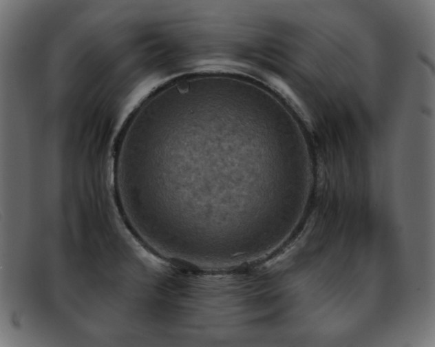 X0000093371376200710111429