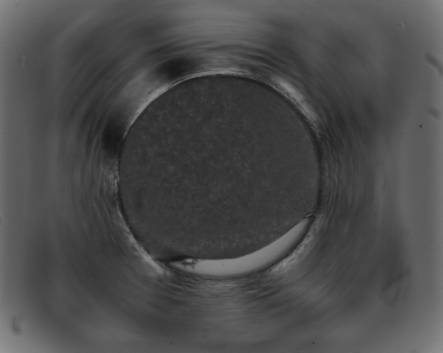 X0000093371377200710111429