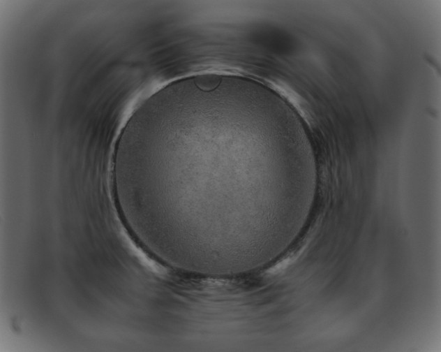 X0000093371379200710111428