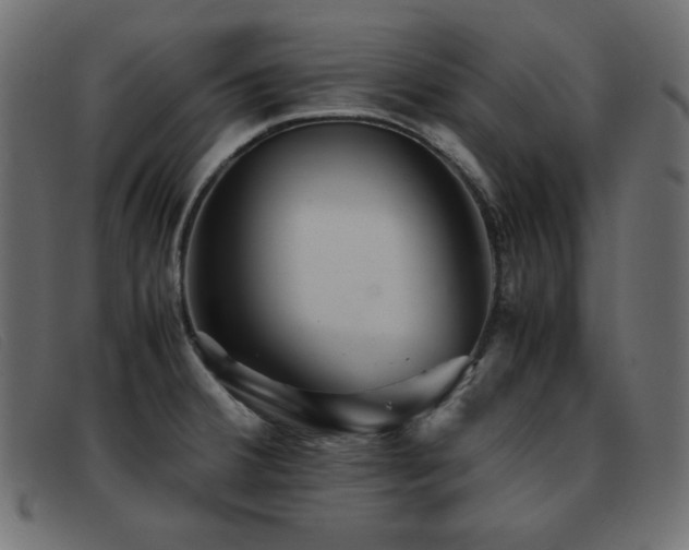X0000093371380200710111428
