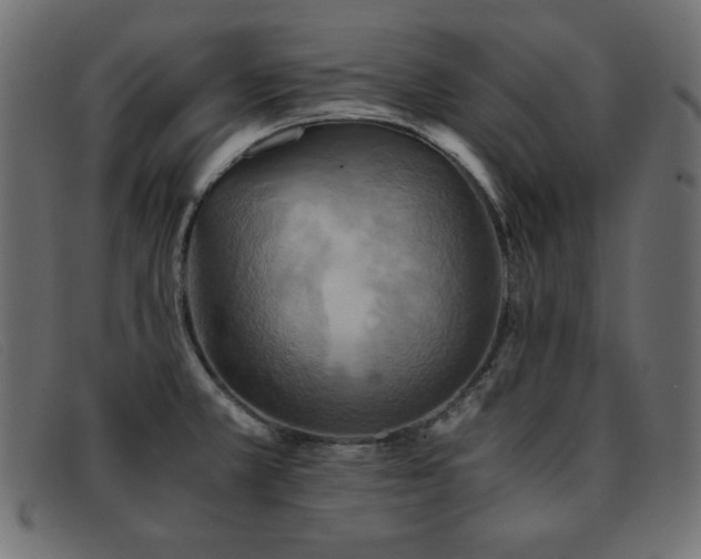 X0000093371381200710111428