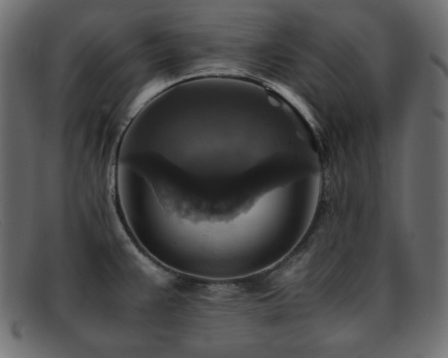 X0000093371383200710111428