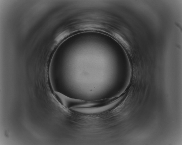 X0000093371384200710111428