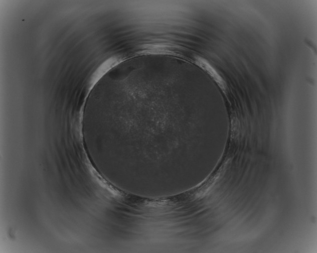 X0000093371386200710111428