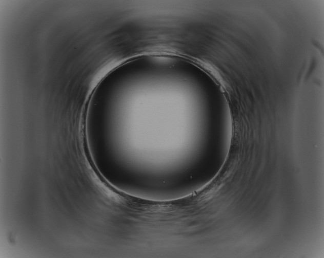 X0000093371387200710111428