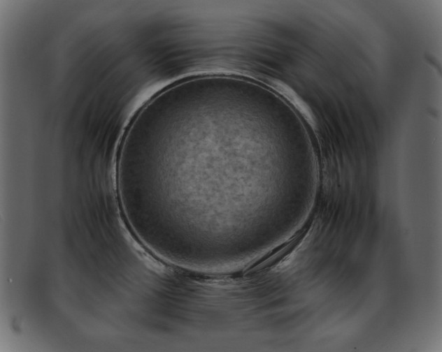 X0000093371388200710111428