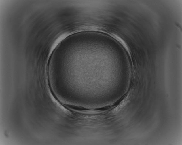 X0000093371389200710111428