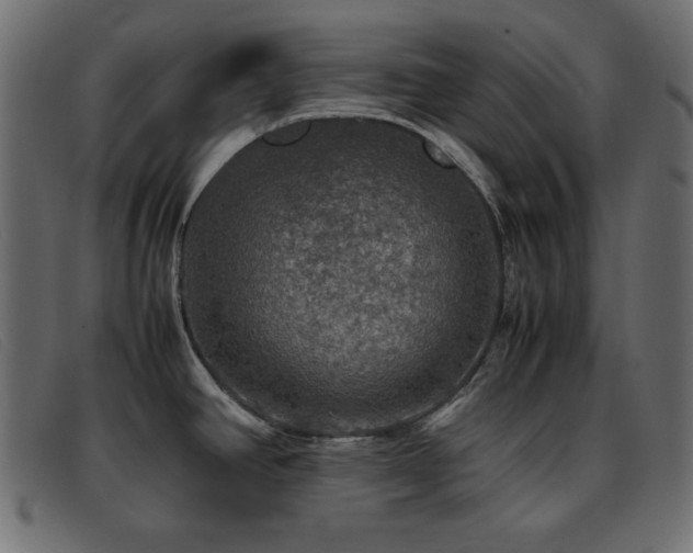 X0000093371390200710111428