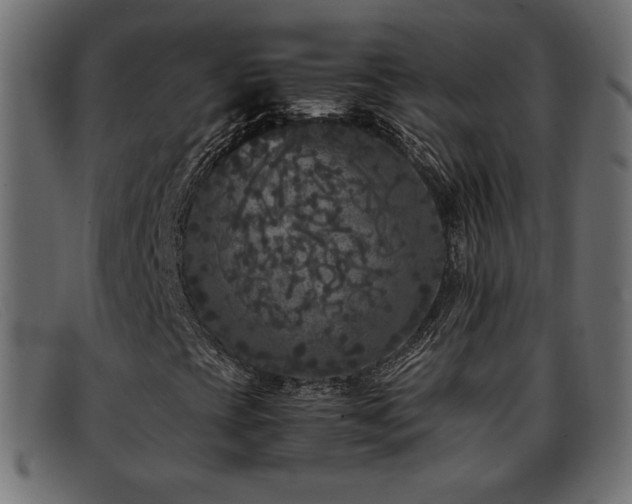 X0000093371393200710111428
