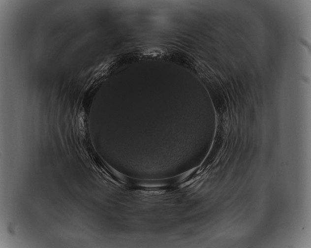 X0000093371394200710111428