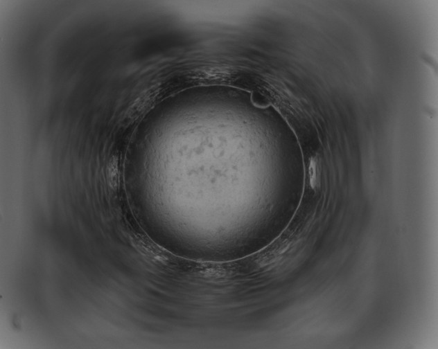 X0000093371395200710111428