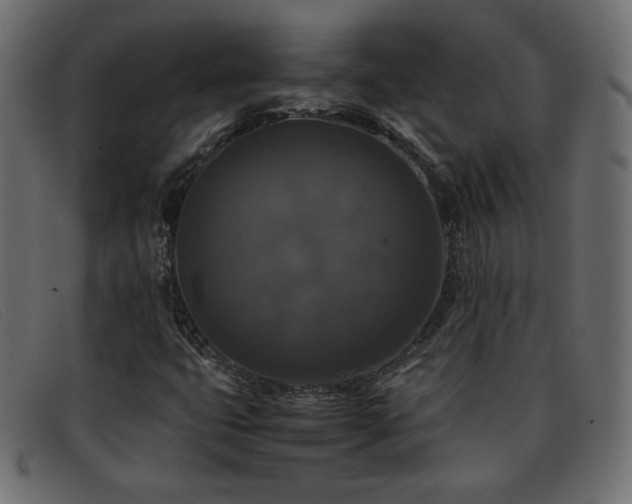 X0000093371399200710111428