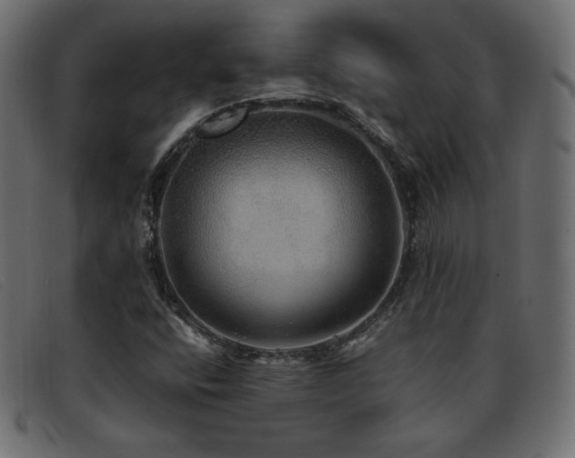 X0000093371400200710111428